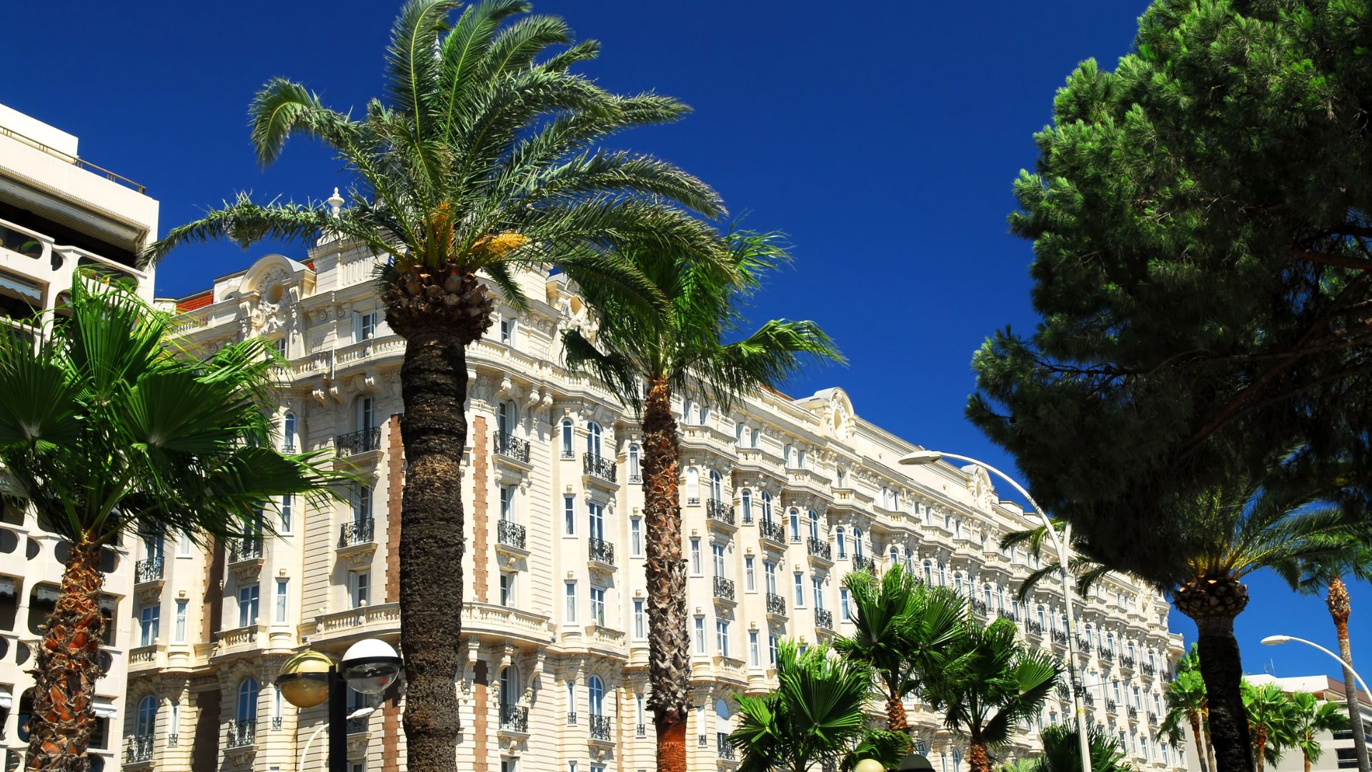 Palm-lined grand hotel frontage on the Croisette in Cannes