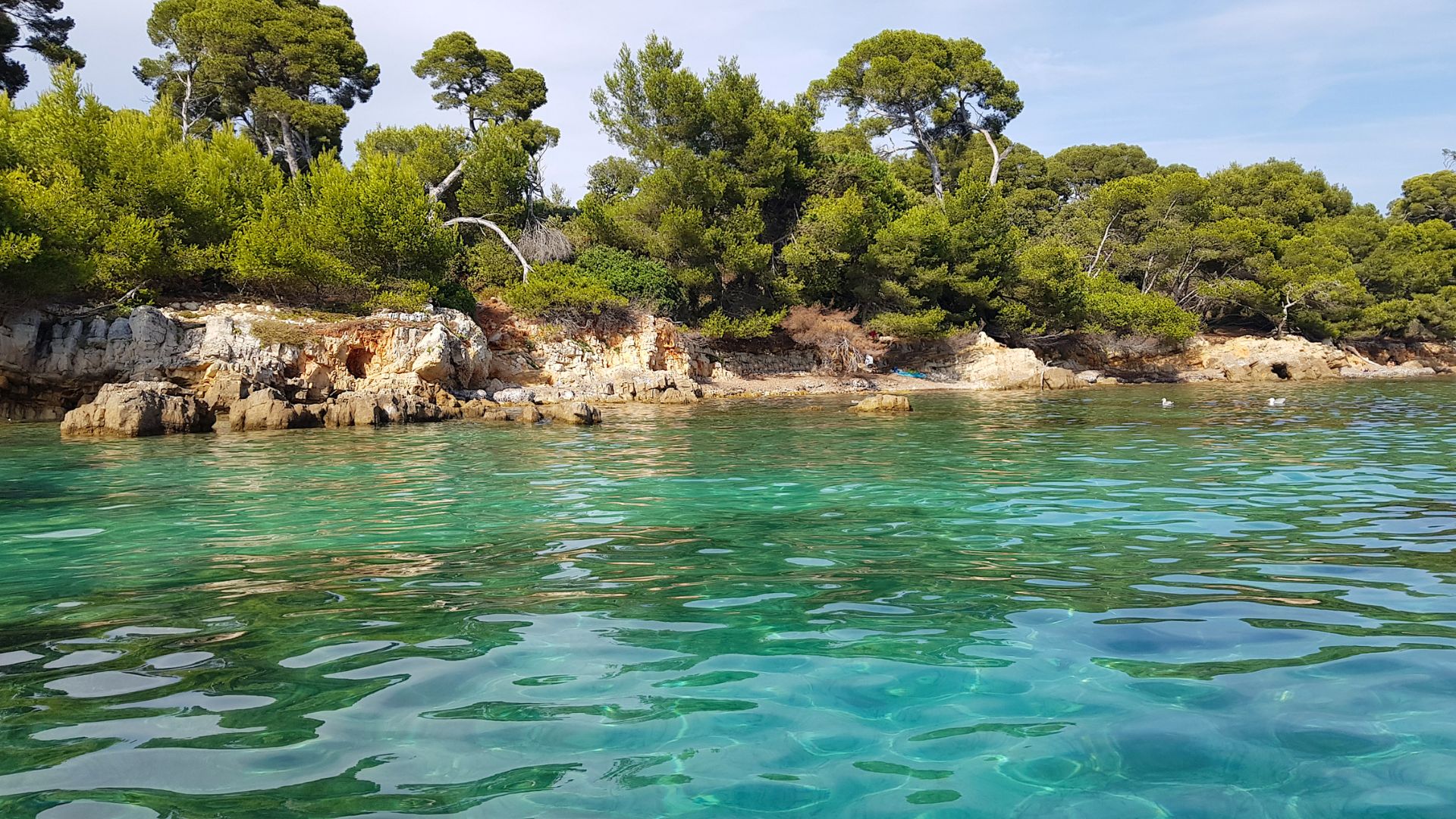 Pine-lined cove and clear water used for the Lerins waterline register.