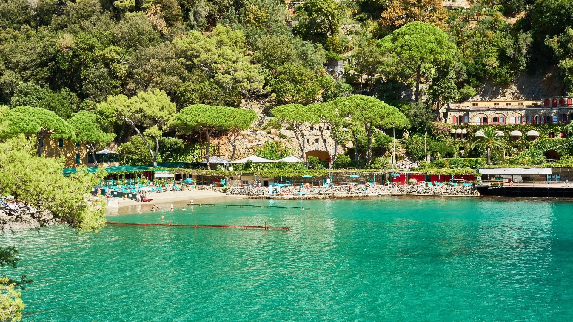 Paraggi Bay between Portofino and Santa Margherita — emerald water and pine-rimmed coast
