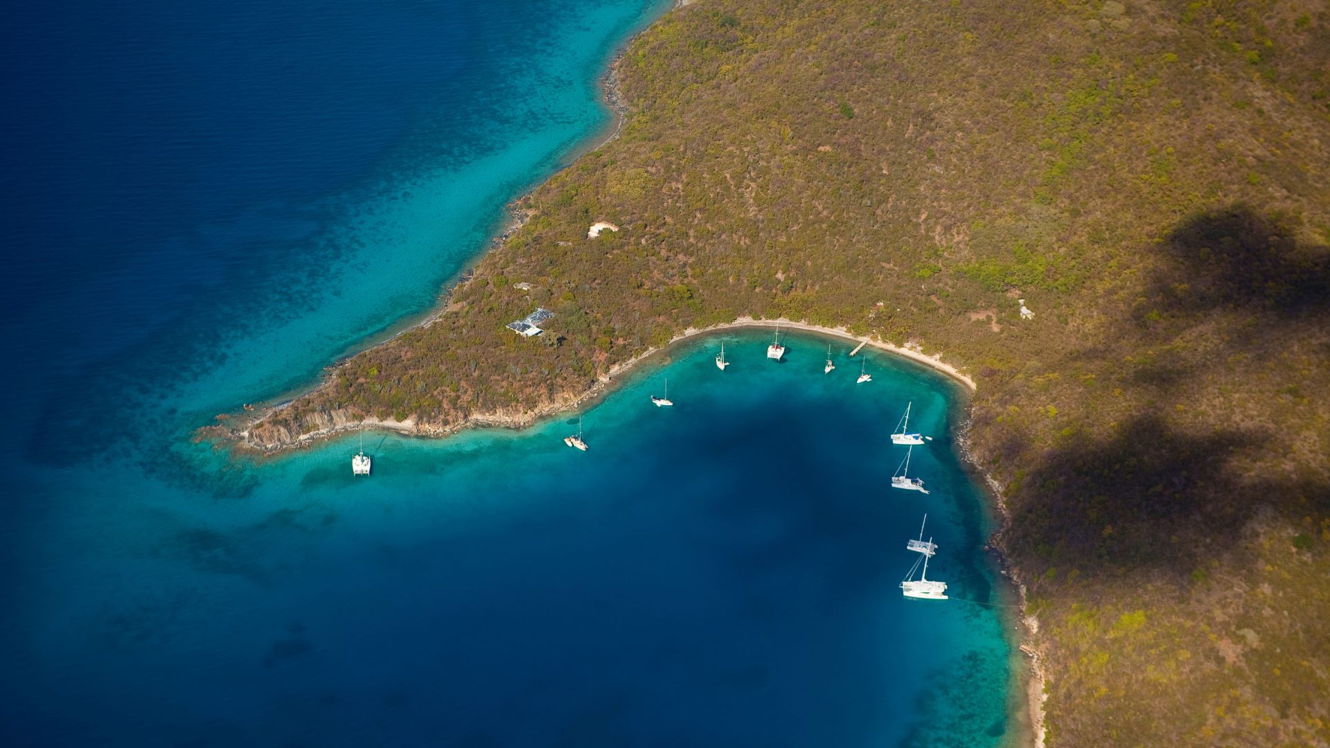 Little Bay