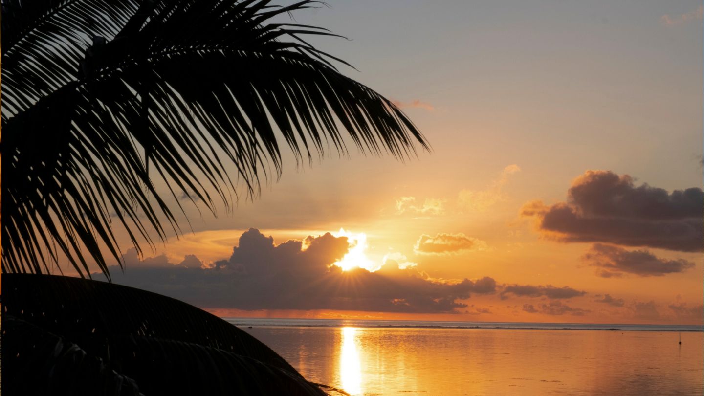 Relax on Motu Mahaea, Taha’a, a small islet offering beautiful beaches and excellent snorkeling.