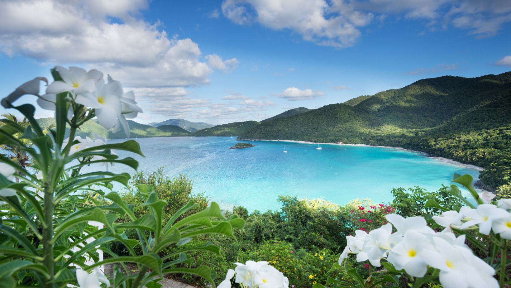 Cinnamon Bay offers a perfect blend of adventure, history, and relaxation, making it a must-visit destination in the US Virgin Islands.