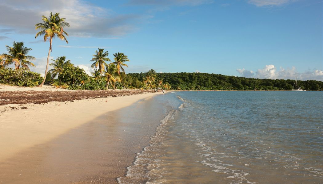 Sun Bay in Vieques offers an unparalleled yachting destination with its serene beach, crystal-clear waters, and lush natural surroundings.