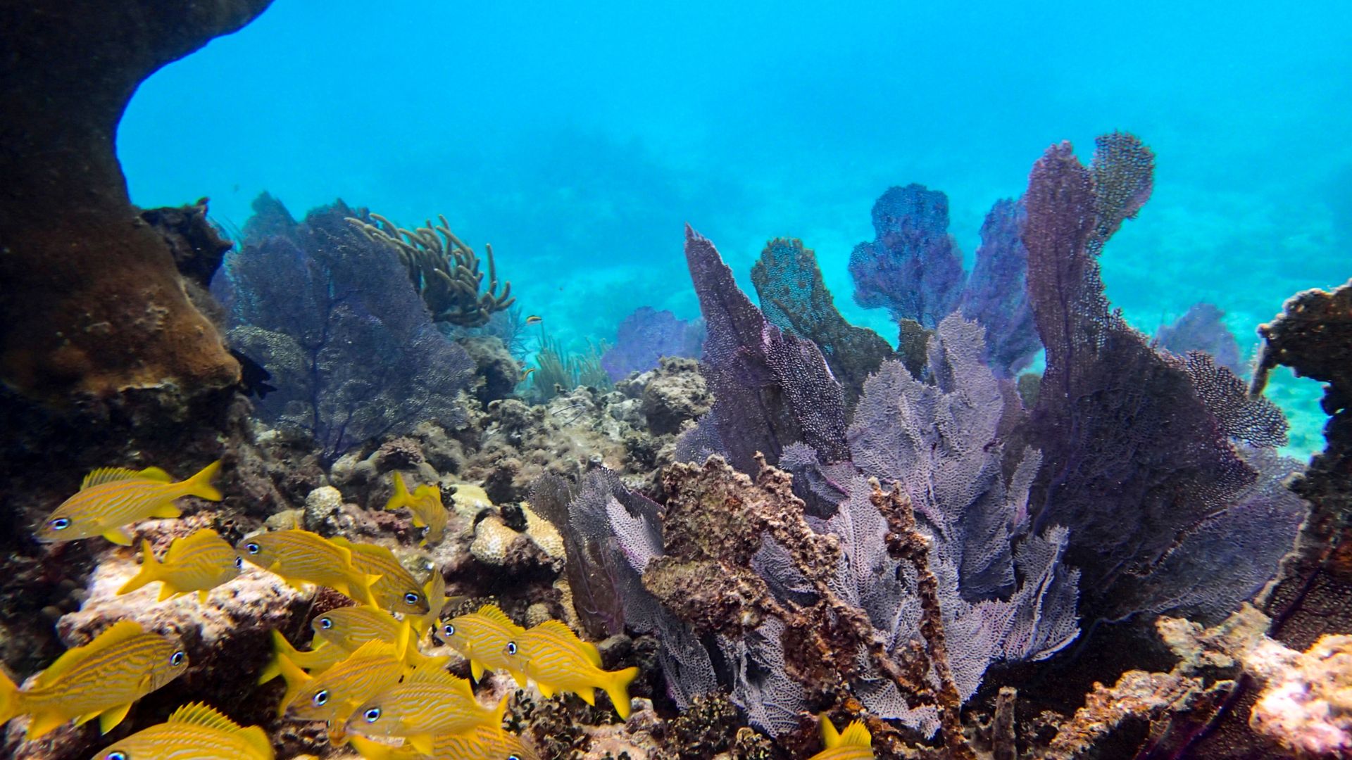 Bahia de Almodovar: a beautiful anchorage awaits in Culebra, Spanish Virgin Islands.
