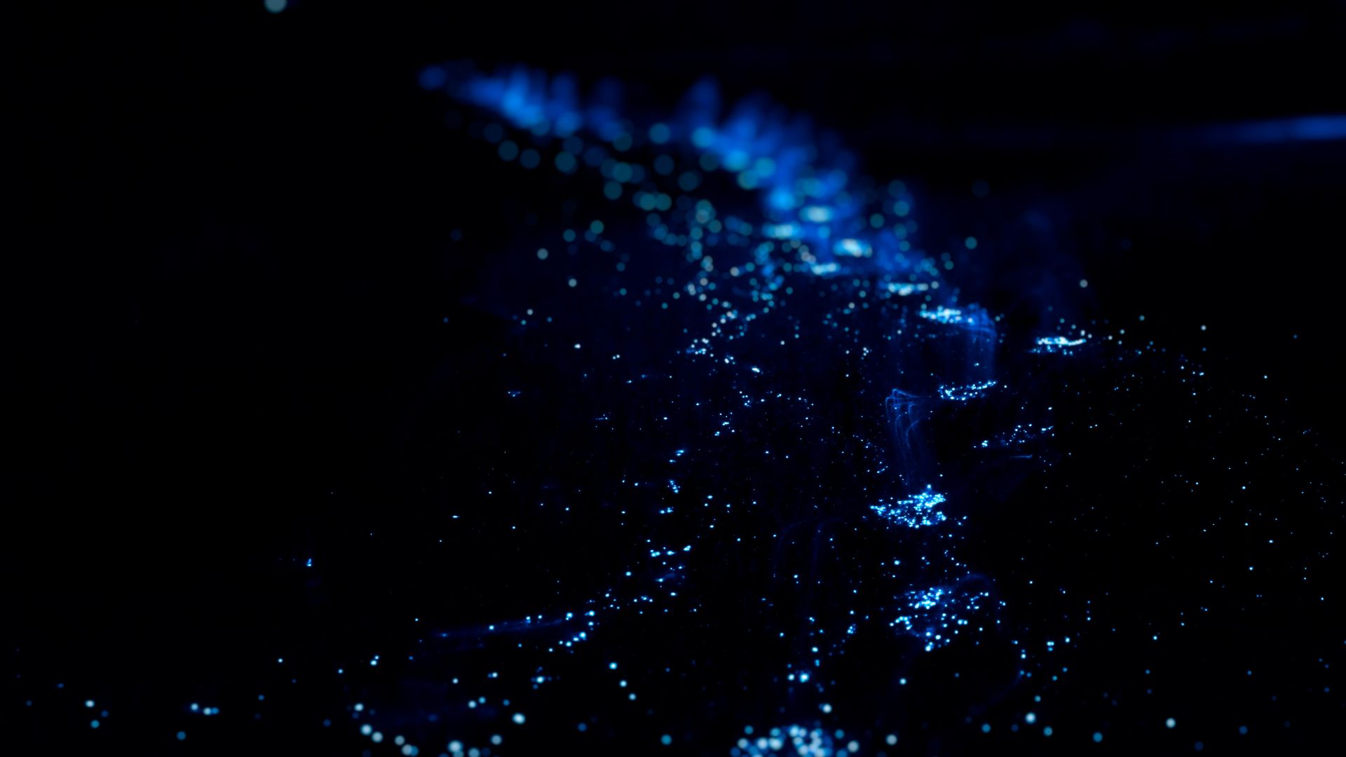 Experience Mosquito Bay's unmatched bioluminescence on a night sail in Vieques, SVI.