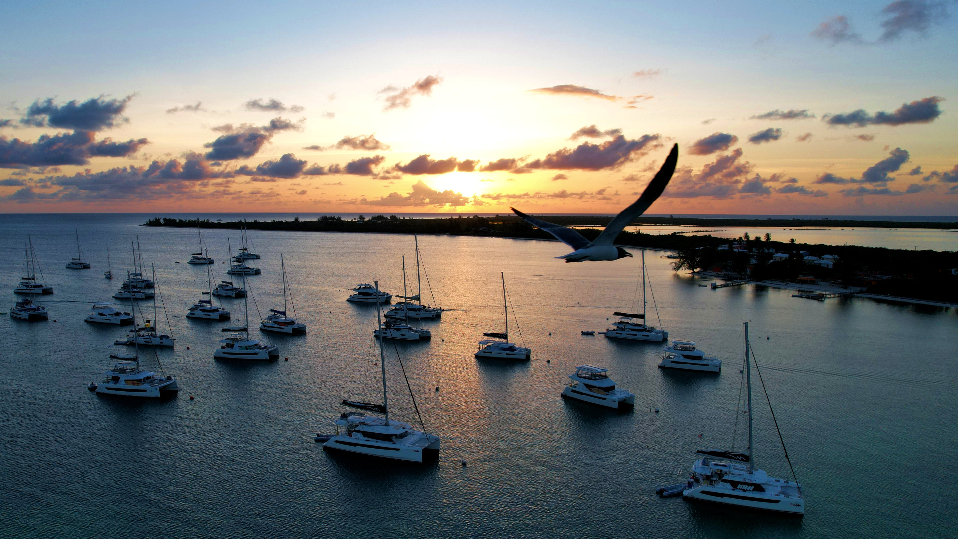 Discover Setting Point, Anegada in BVI: your charter gateway to the stunning north shore beaches.