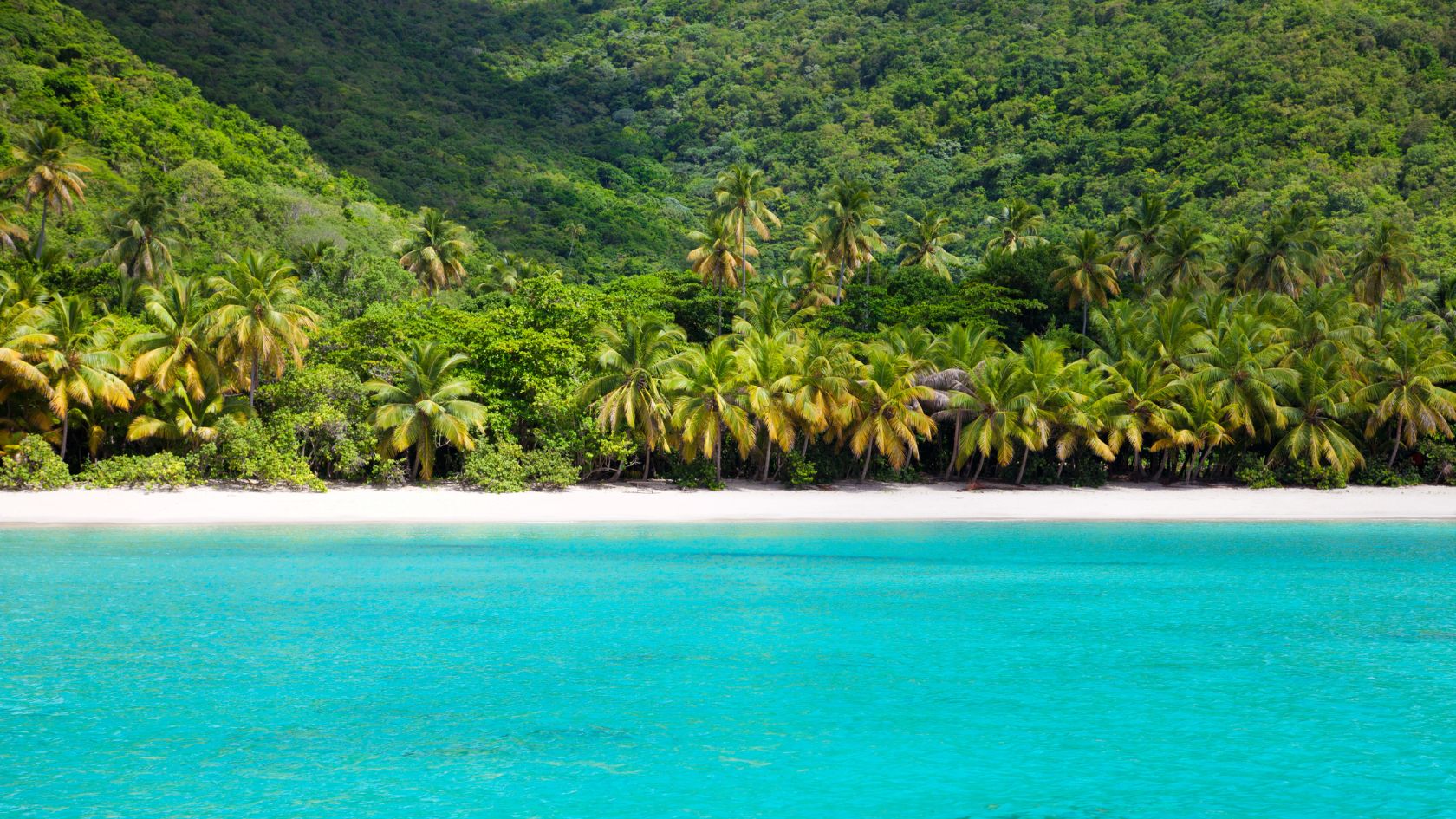 Explore Brewers Bay, Tortola: Off-limits for charters due to cables and swells, but accessible by land with Nicole's Beach Bar. Perfect for a serene day trip.