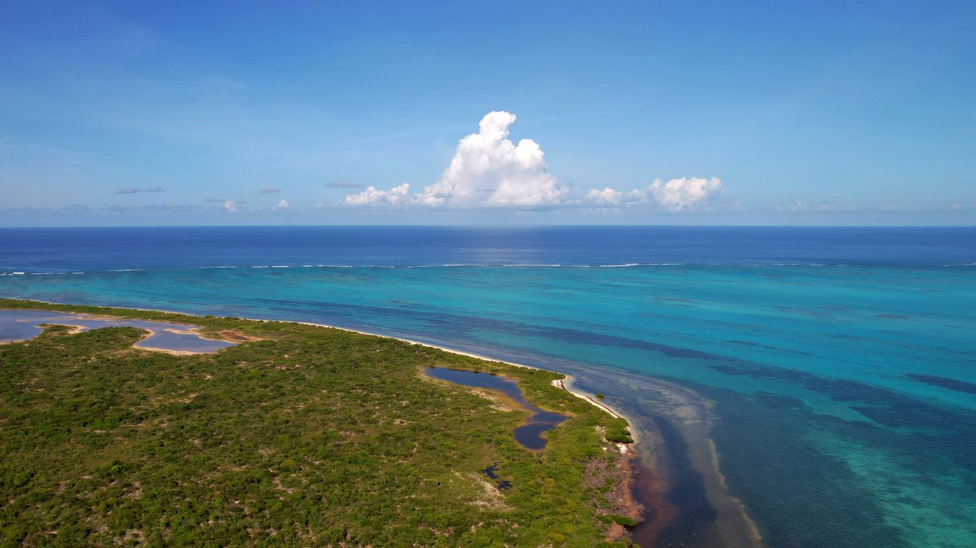 Discover Horseshoe Reef, Anegada: The 4th largest barrier reef in the world. Enjoy unbeatable snorkeling, lobster searching, and a visit to the conch mounds.