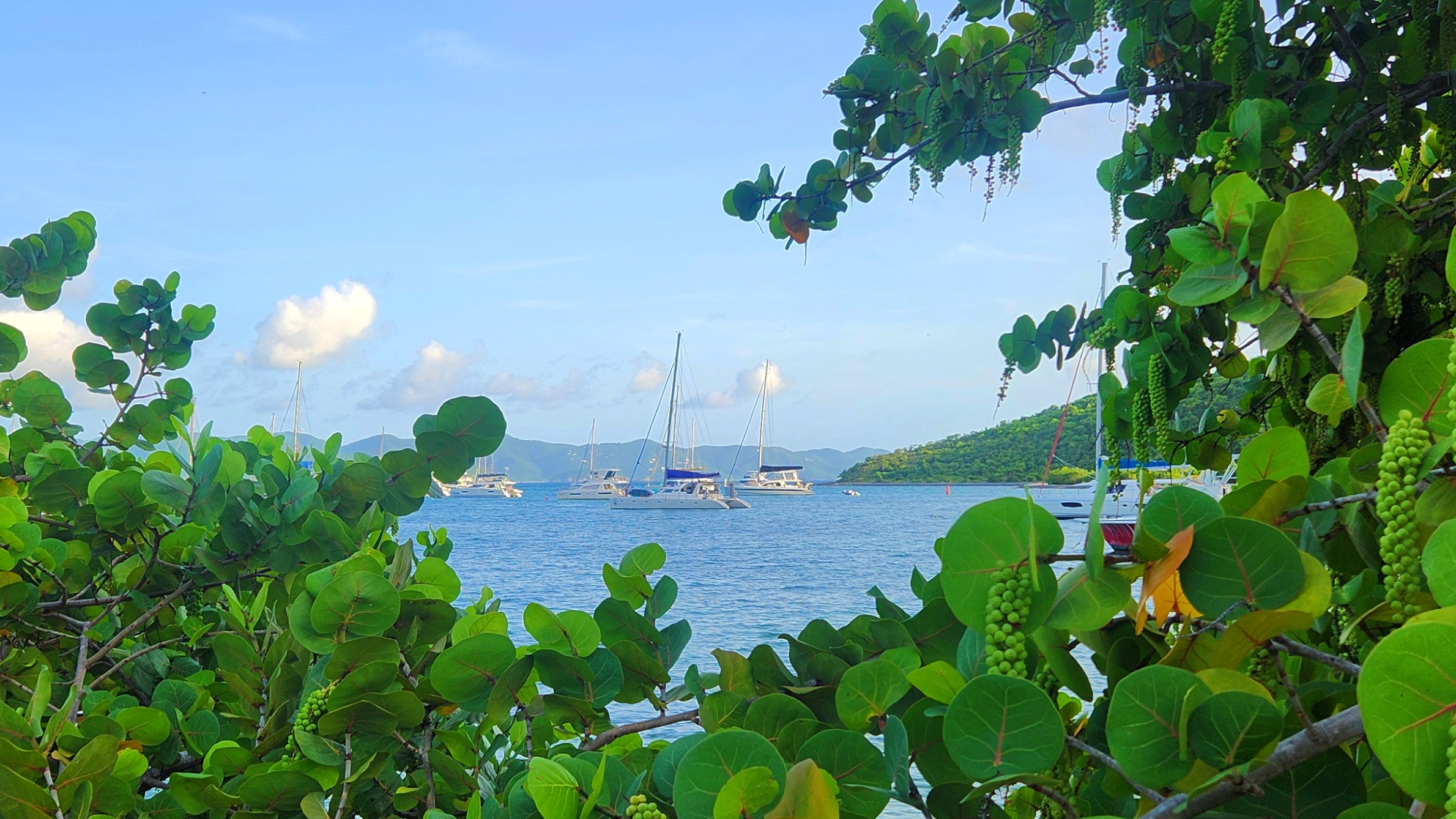 Discover Great Harbour, Jost Van Dyke: Vibrant anchorage with Foxy's Bar, provisioning, customs, and crowded mooring. Perfect for exploring and stocking up.