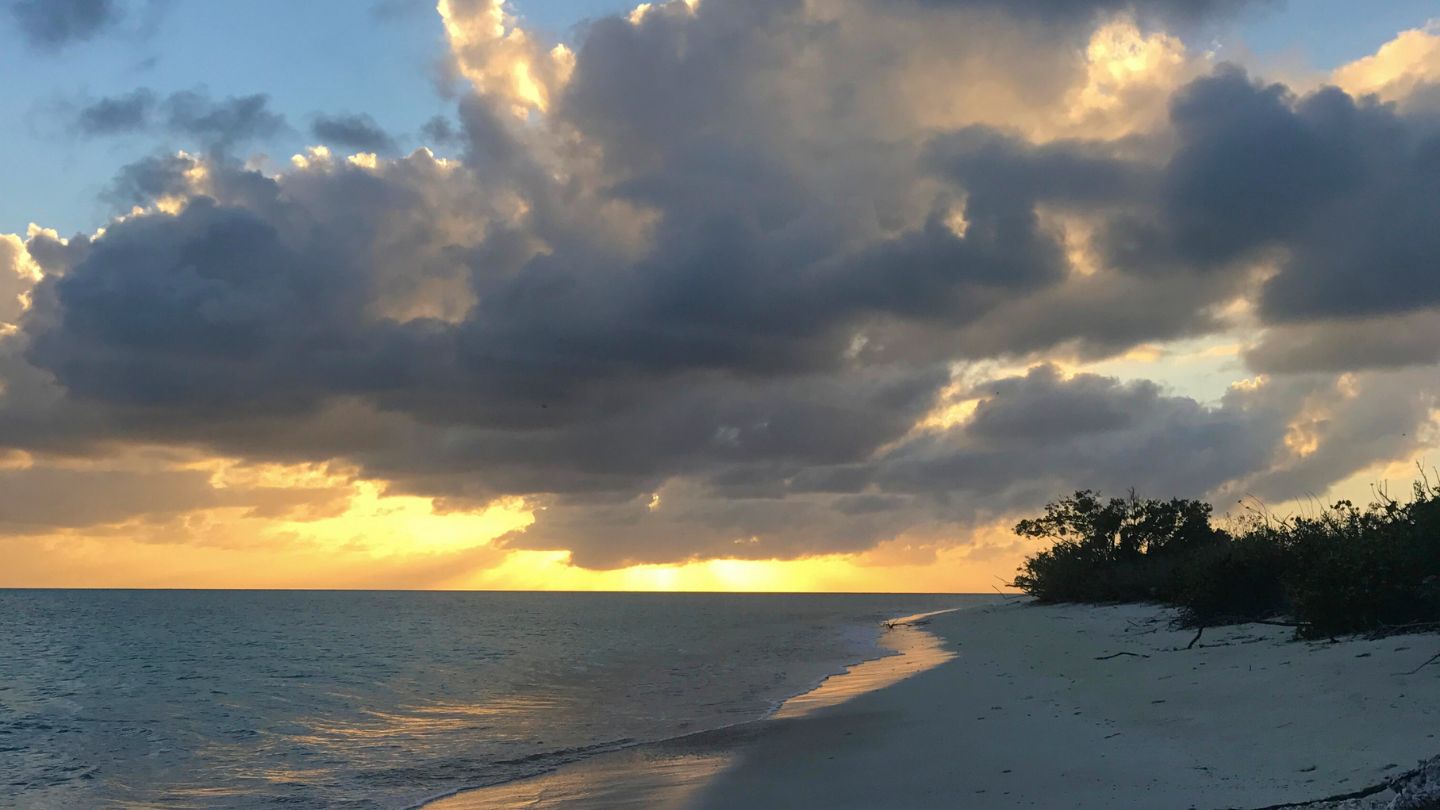 Discover Spanish Point in Barbuda - a beautiful, secluded bay with excellent snorkeling, rich marine life, and secure anchoring.