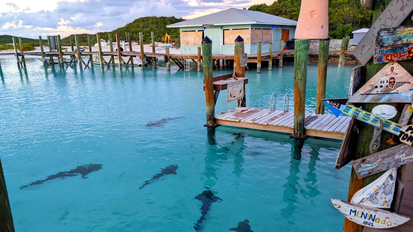 Visit Compass Cay in the Exumas for stunning beaches, nurse shark encounters, and a welcoming marina. A must-visit destination for bareboat charter crews. 