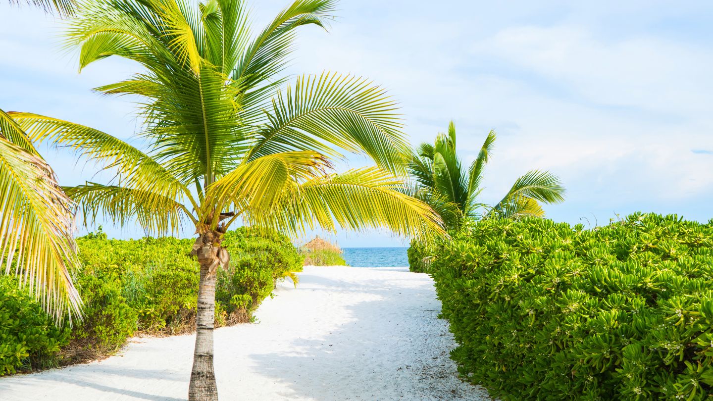 Yacht charter in White Bay Jost Van Dyke BVI