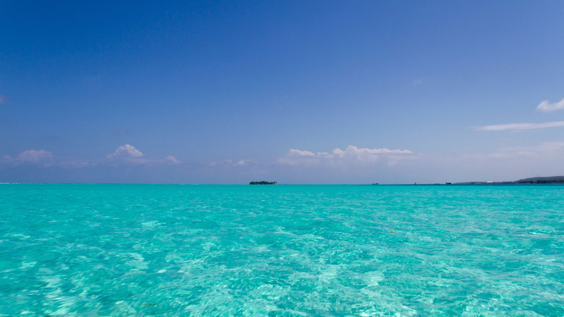 Explore Pelican Cays Land and Sea Park, Abaco, Bahamas. Dive into vibrant coral reefs and enjoy crystal-clear waters.