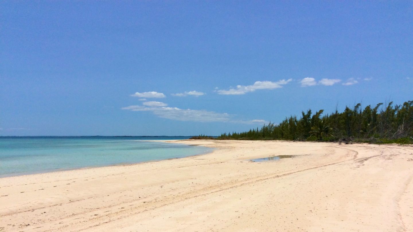 Experience Manjack Cay (Nunjack Cay), Abaco, Bahamas. Enjoy secluded beaches, wildlife encounters, and kayaking adventures.