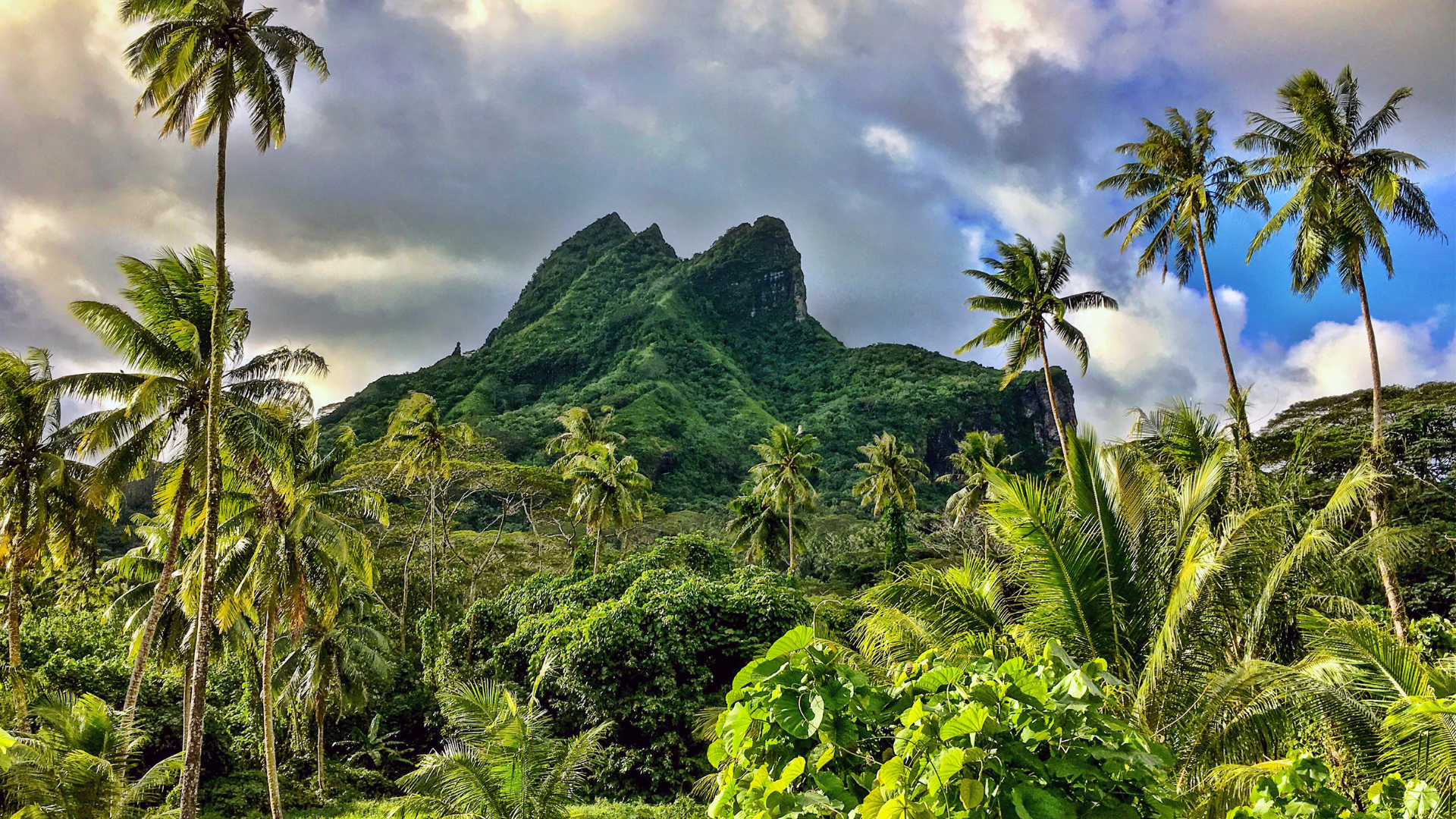 Hike Mount Temehani, Raiatea, home to the rare Tiare Apetahi flower and stunning panoramic views.