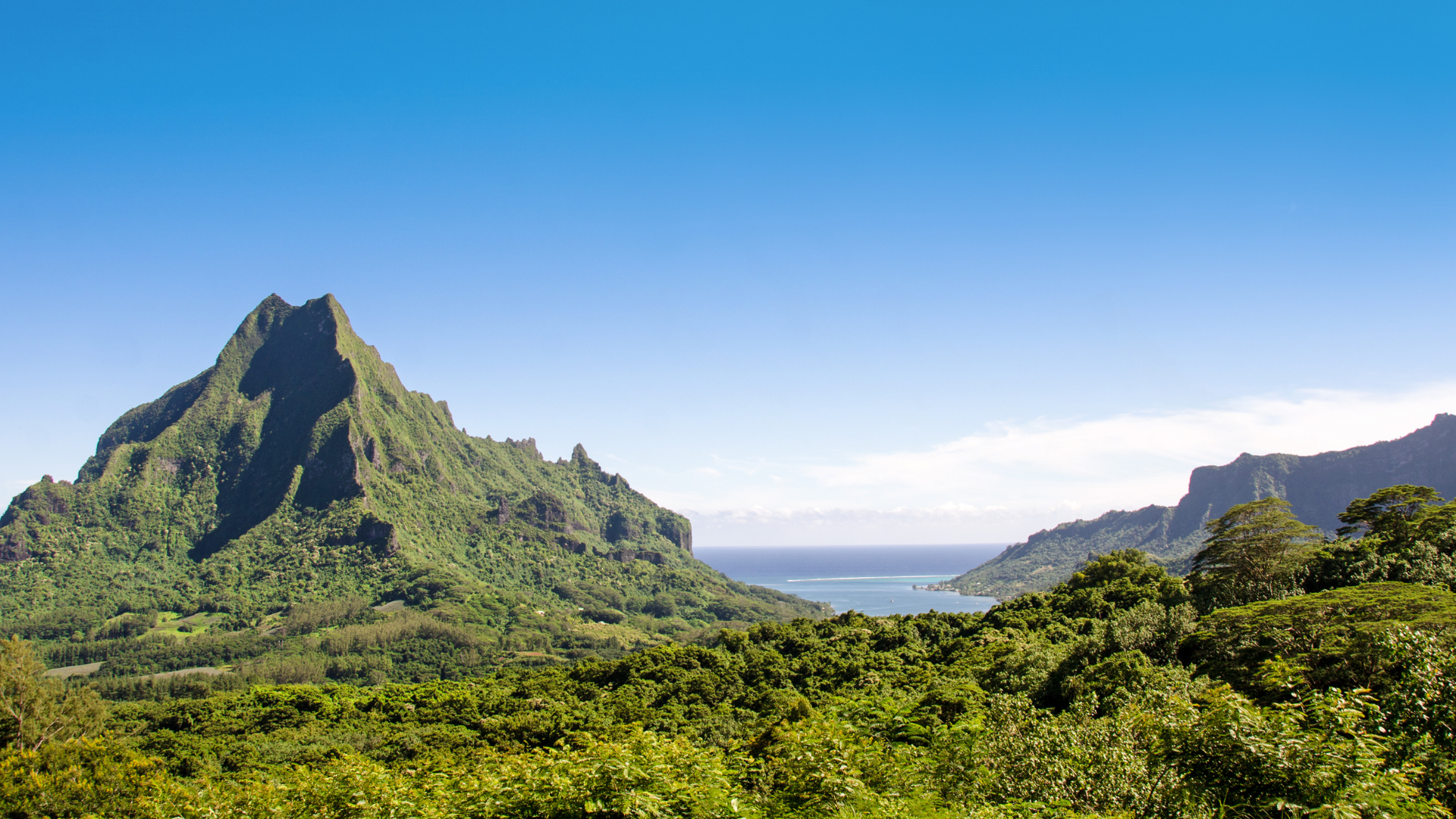 Visit Belvedere Lookout, Moorea, for panoramic views of Opunohu and Cook's Bays, surrounded by lush tropical forest.