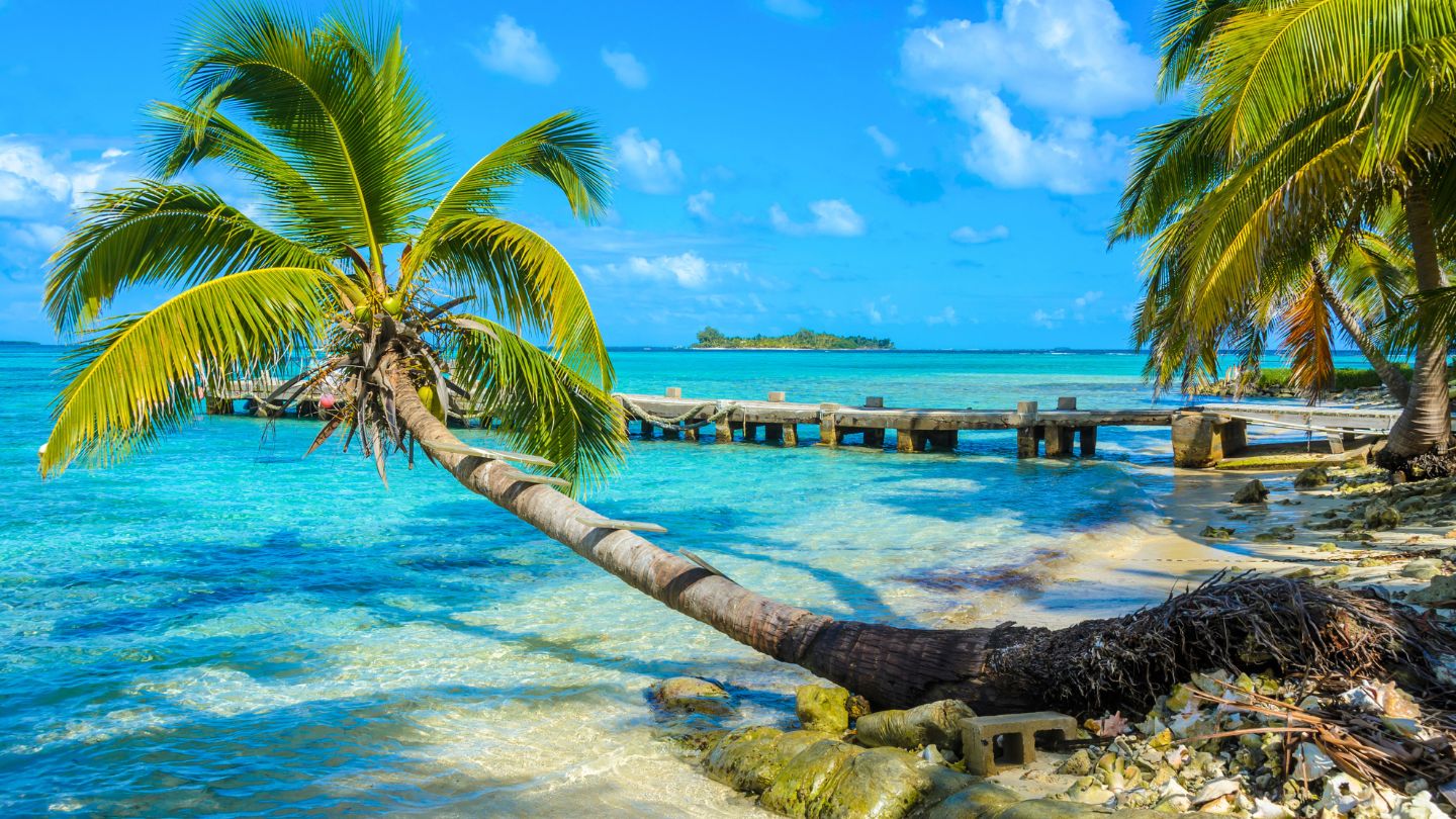 Discover Carrie Bow Caye, Belize—a small island with rich marine life, stunning wall dives, and a fascinating history linked to marine research.