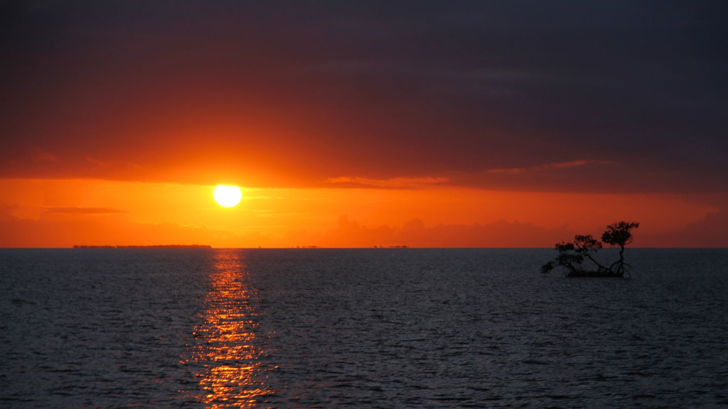 Experience the serene anchorage of Pelican Cayes, Belize—protected waters, superb snorkeling, and the warm hospitality of Hideaway Caye.