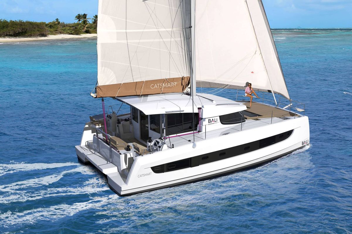 CHRYSANTHEMUM, 2024 Bali Catsmart, St. Martin, Anguilla & St. Barts