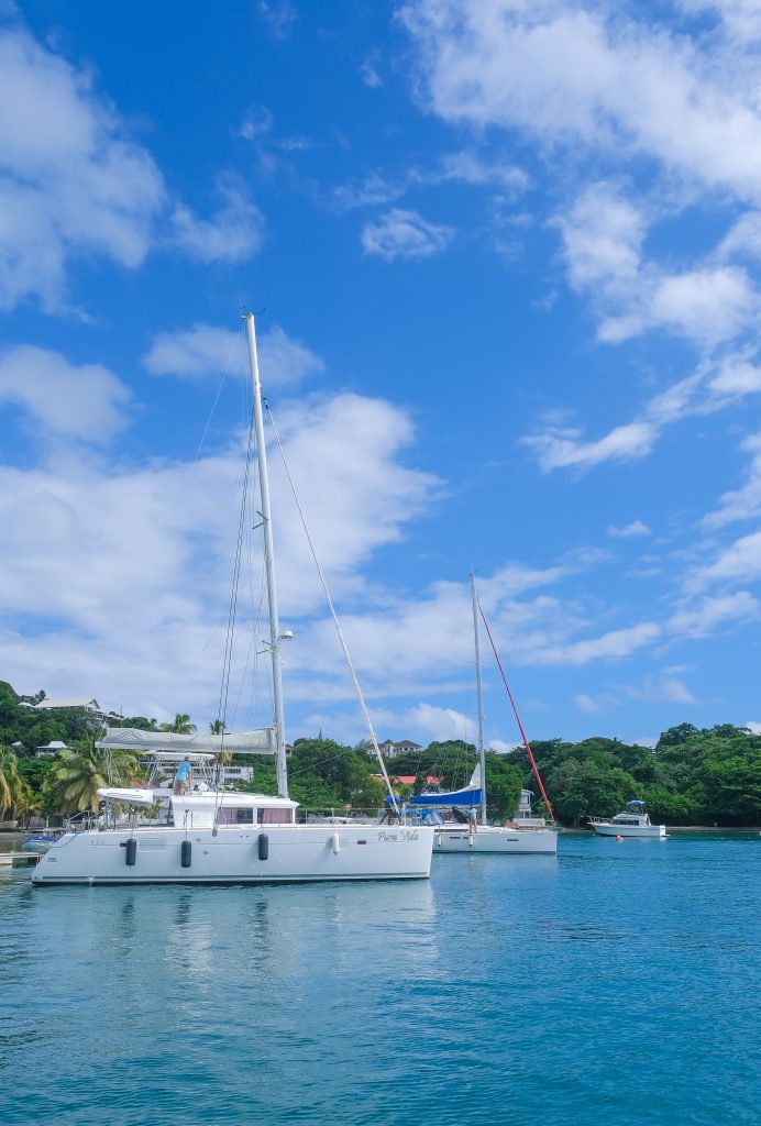 PURA VIDA, 2015 Lagoon 450, St. Vincent and the Grenadines