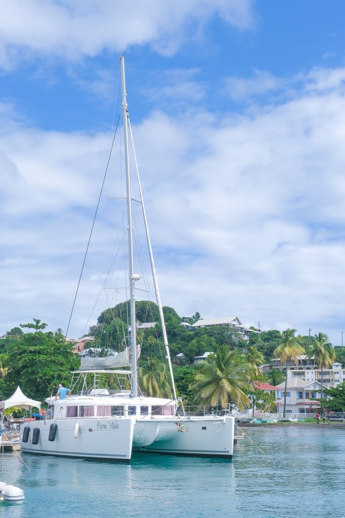 PURA VIDA, 2015 Lagoon 450, St. Vincent and the Grenadines