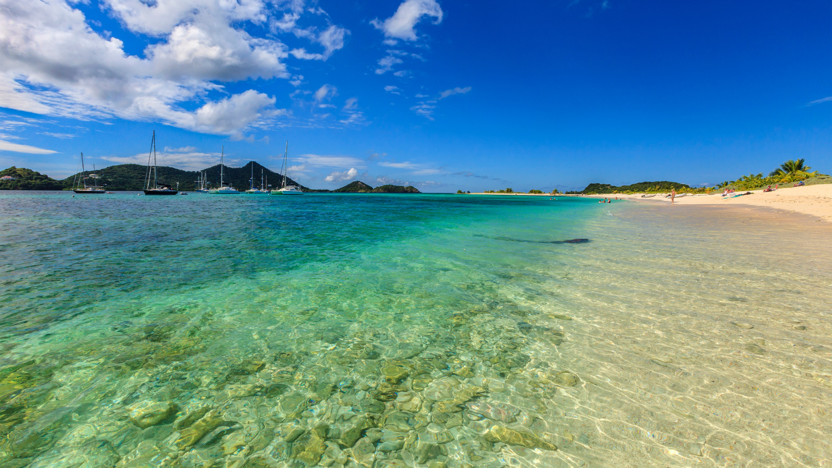 Explore a Grenada yacht charter for an unforgettable Caribbean escape. 