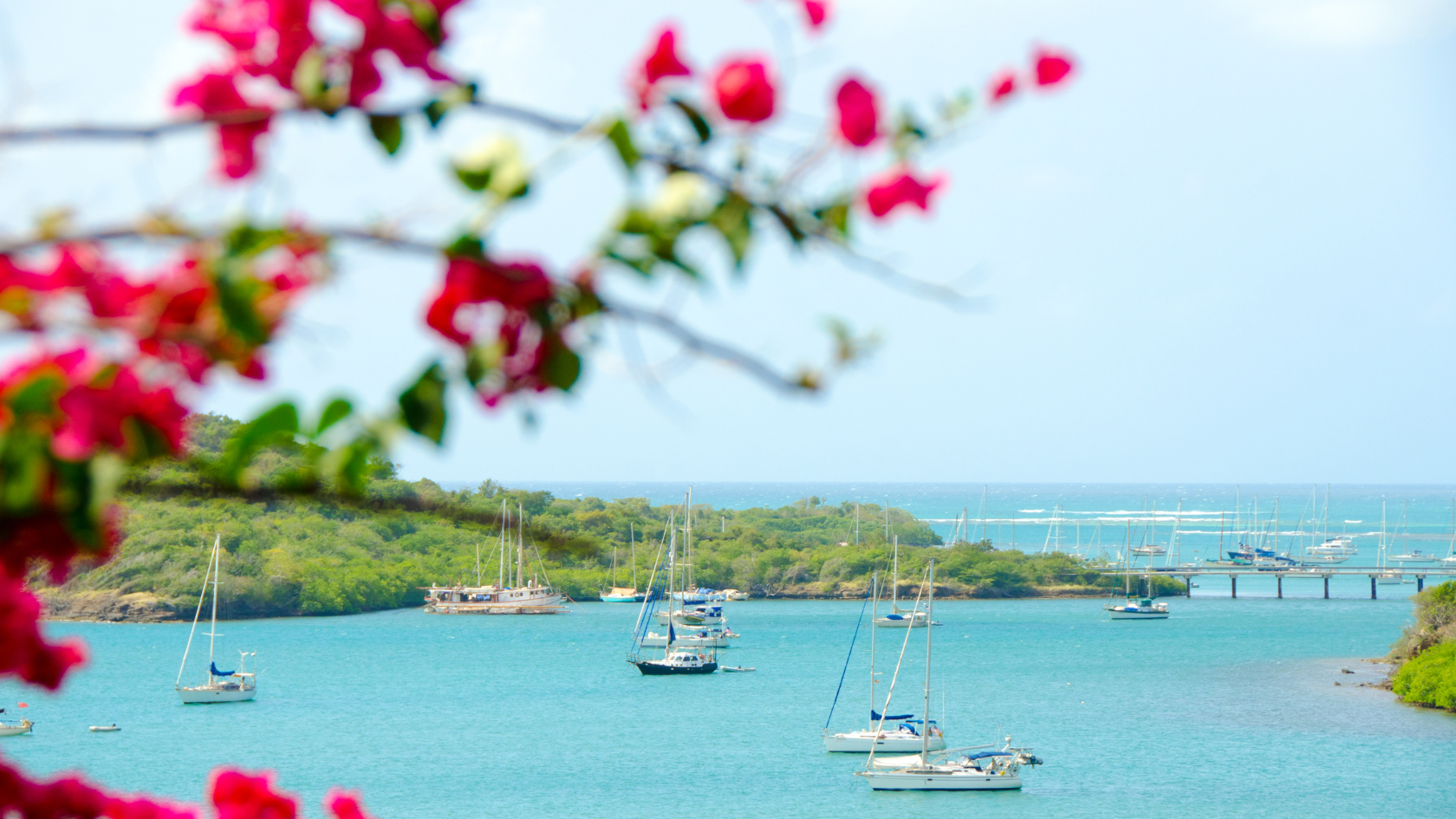 Yacht charter in White Bay Jost Van Dyke BVI