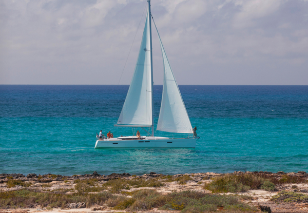 PHAT DOLPHIN, a 2019 Sun Odyssey 479 available for charter in St. Vincent and the Grenadines.