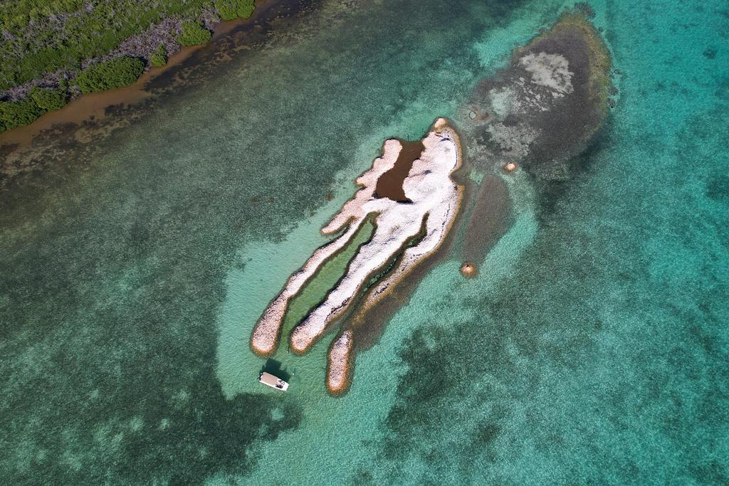 Conch Island