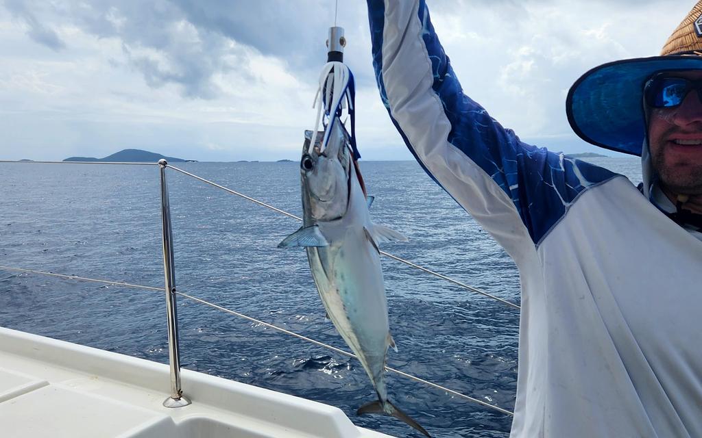 Bonito que pescamos troleando sobre la plataforma alrededor de Culebra