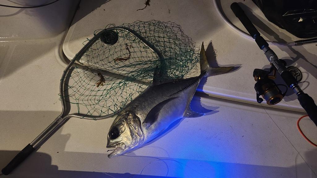 Fishing