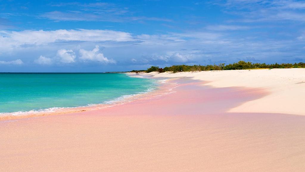 Kilómetros de playas rosadas esperan en Barbuda