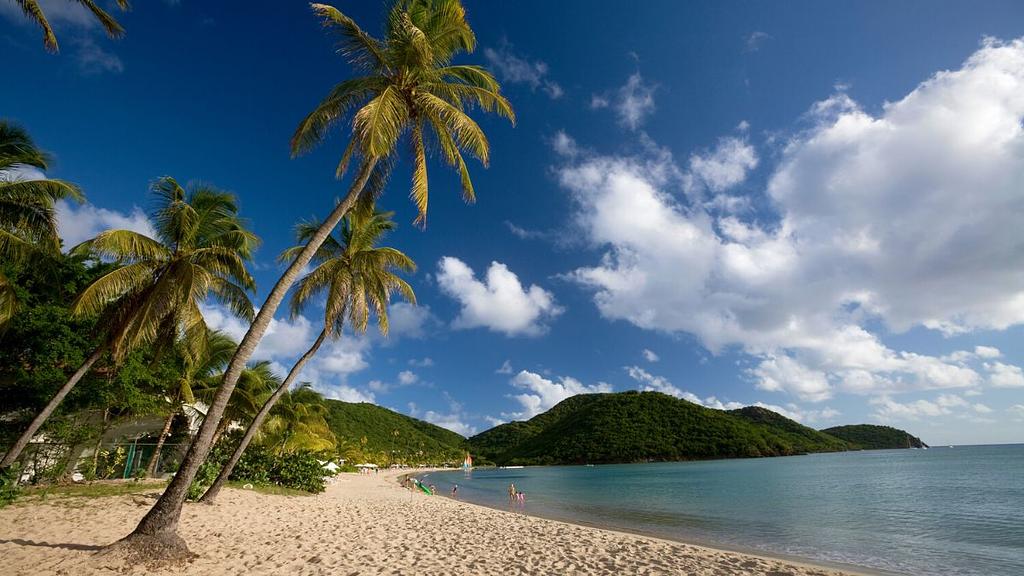 A beach for every day, this one at Carlisle Bay