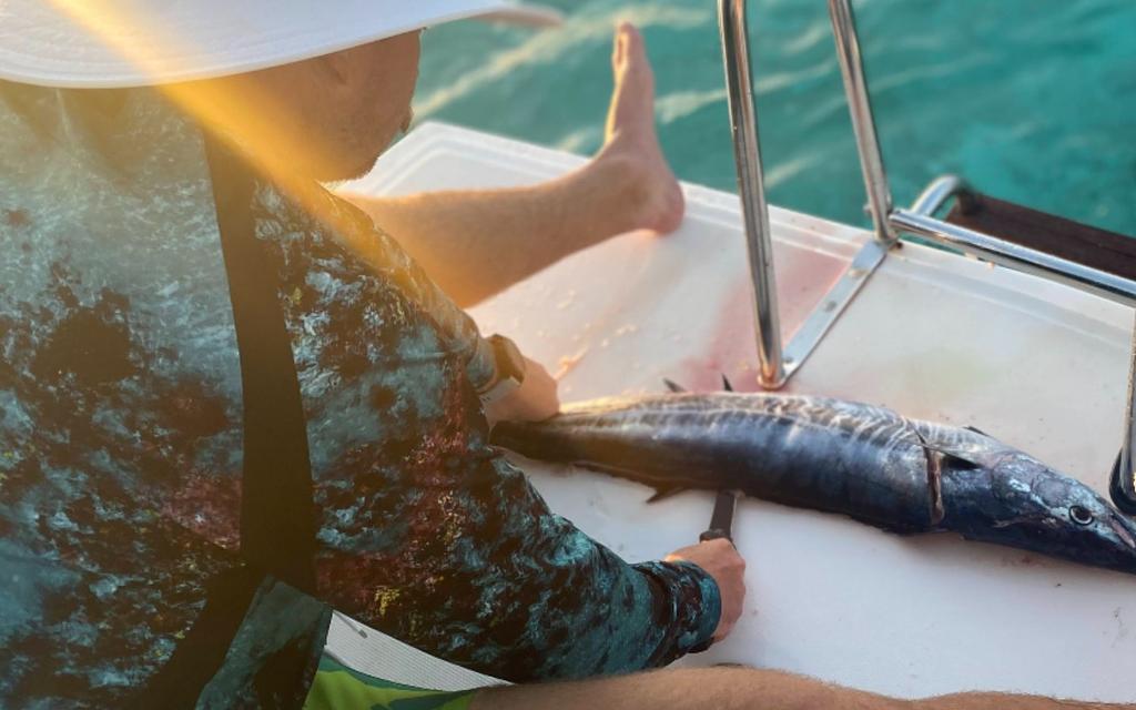 Fileteando un wahoo recién pescado en las Exumas