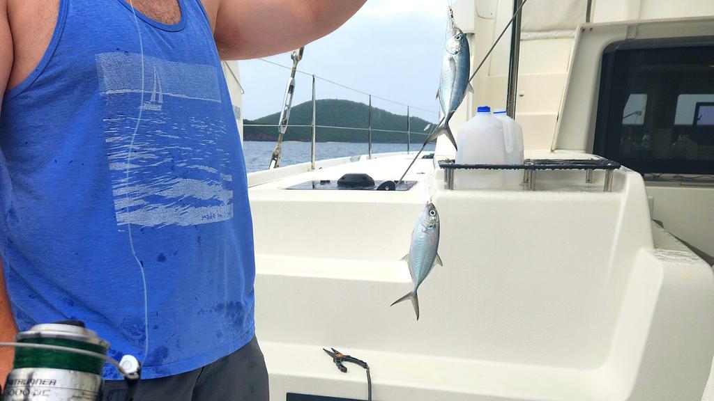 Catching some blue runners for live bait slow trolling | We keep them alive in a bait tank