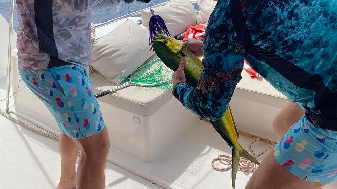 Mahi hook up off the drop south of Vieques