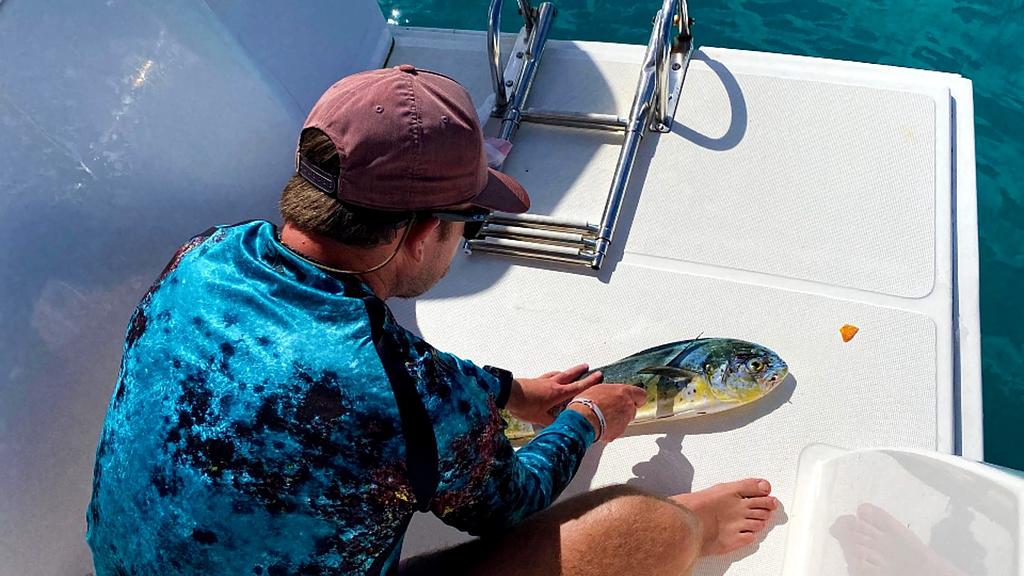 Foto mía fileteando un mahi mahi chico pescado en una zona de plataforma cerca de la caída sur