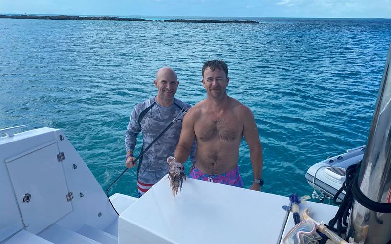 Lionfish we speared on a reef in the Bahamas