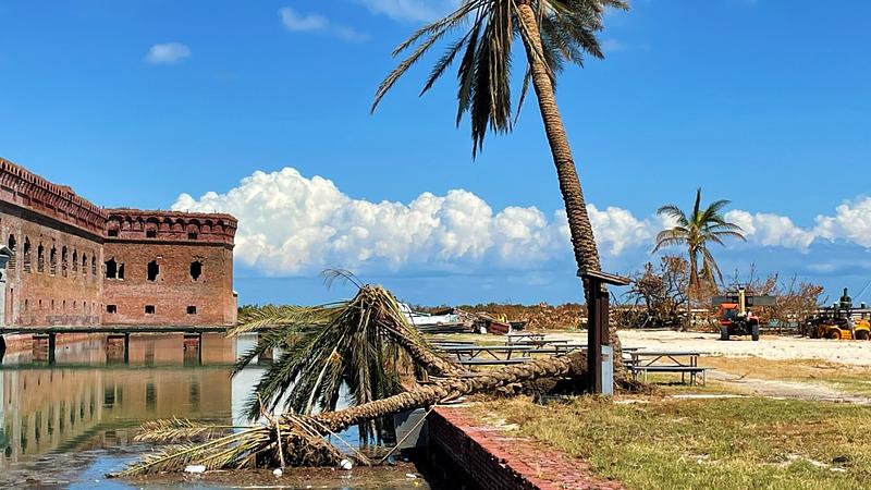 Trees damaged by Hurricane Ian on Garden Key 📸 NPS