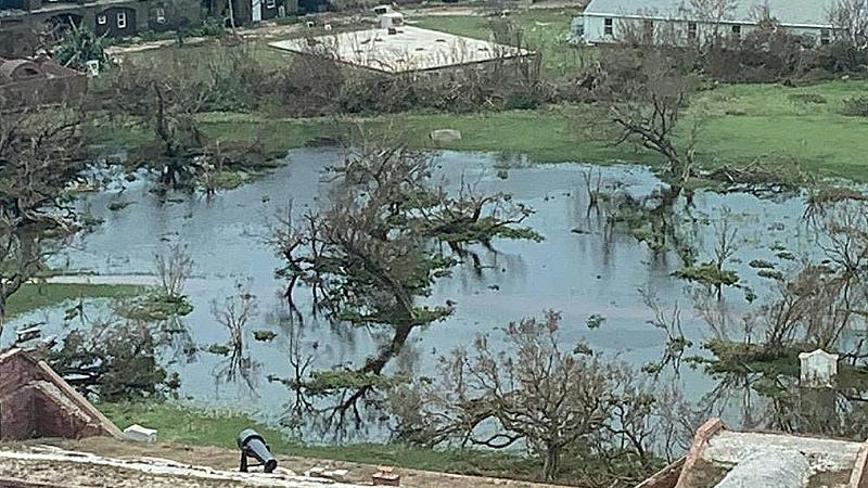 Trees of the Fort Jefferson interior parade grounds sustained notable damage, stripped of their vegetation | NPS