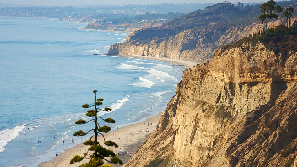 Torrey Pines and the coastline of north county