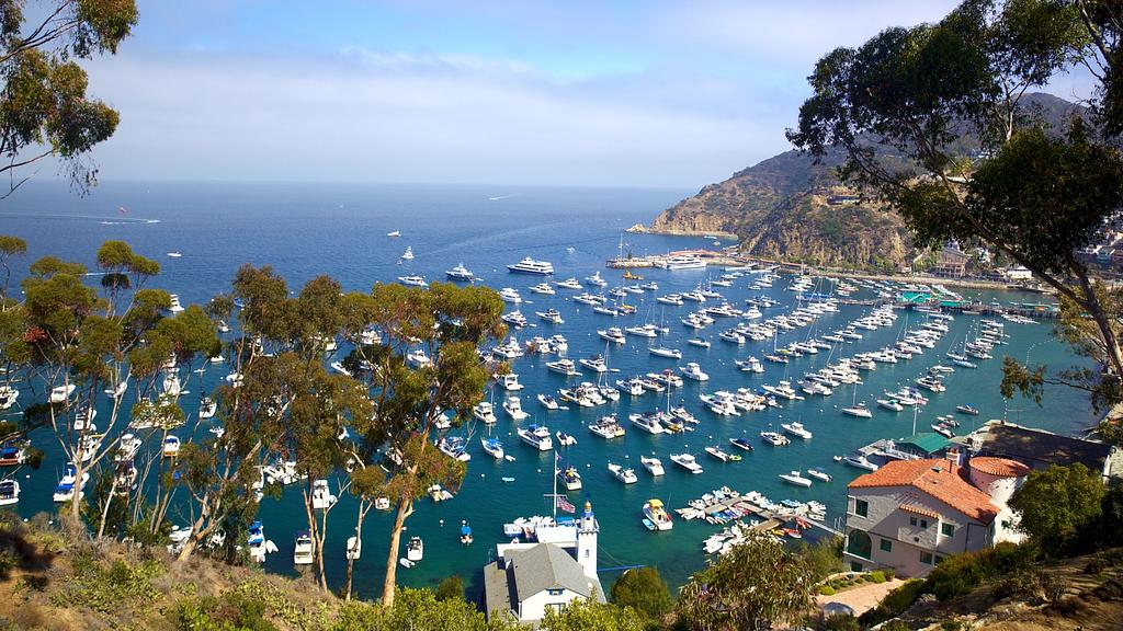 The mooring field at Avalon and the iconic Catalina Casino