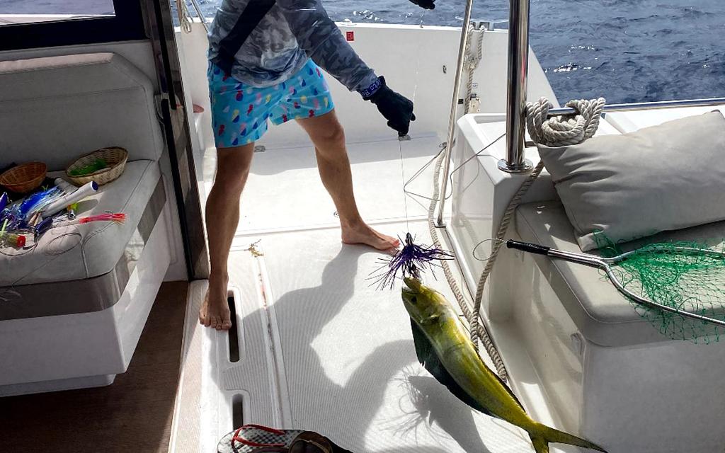 fishing bvi lures JB Gold Back Varmit, 1/4 oz. / Neon Red The Wild Bug is great for flipping and pitching and offers everything you want for a swimming action bait Nomad Tackle Freshwater Lures Sampler
