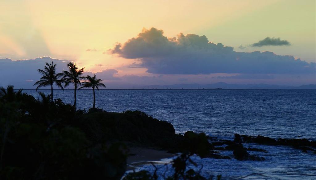 Vieques
