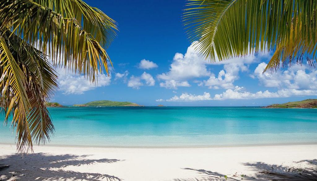 Palm Trees at Playa Tortuga on Isla Culebrita