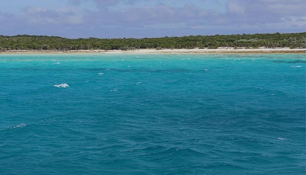Allan’s Beach