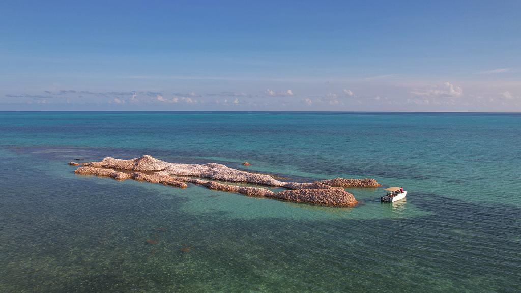 Conch Island