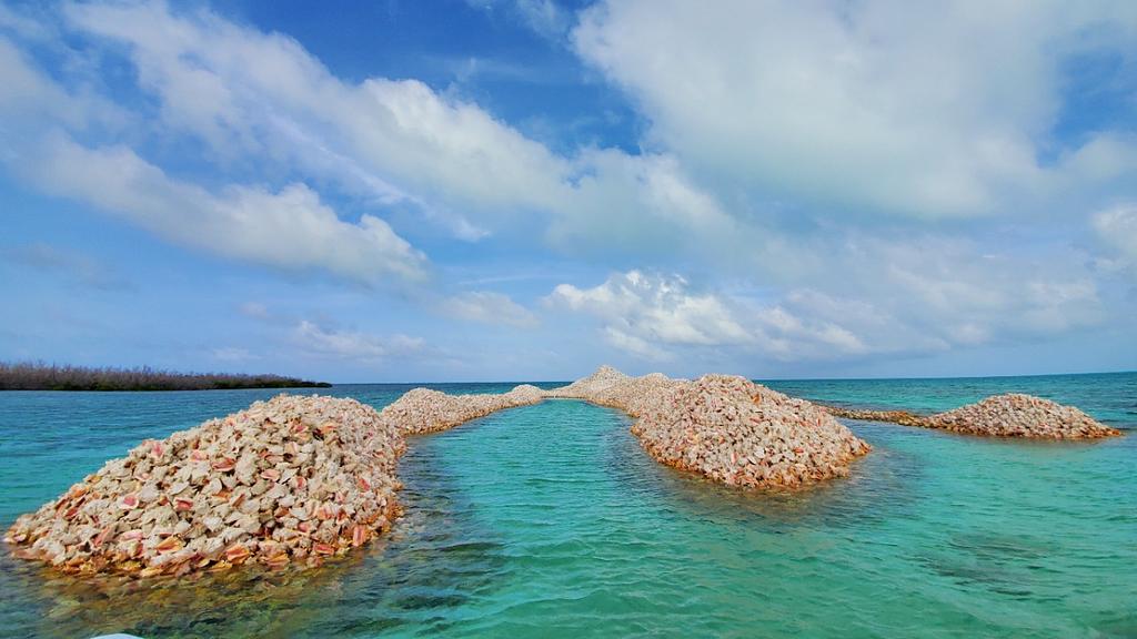 Anegada, Conch Island