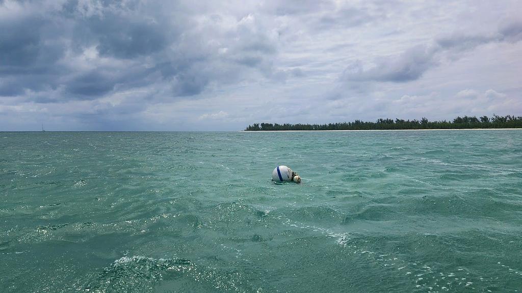 The ball as it drifted away before we retrieved it.