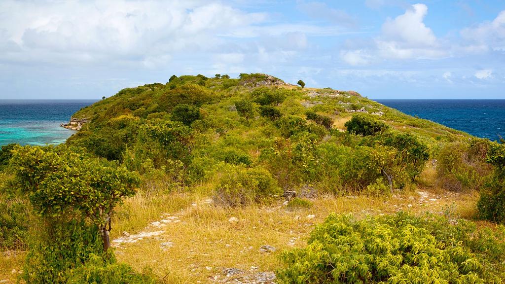 Hiking on Great Bird Island